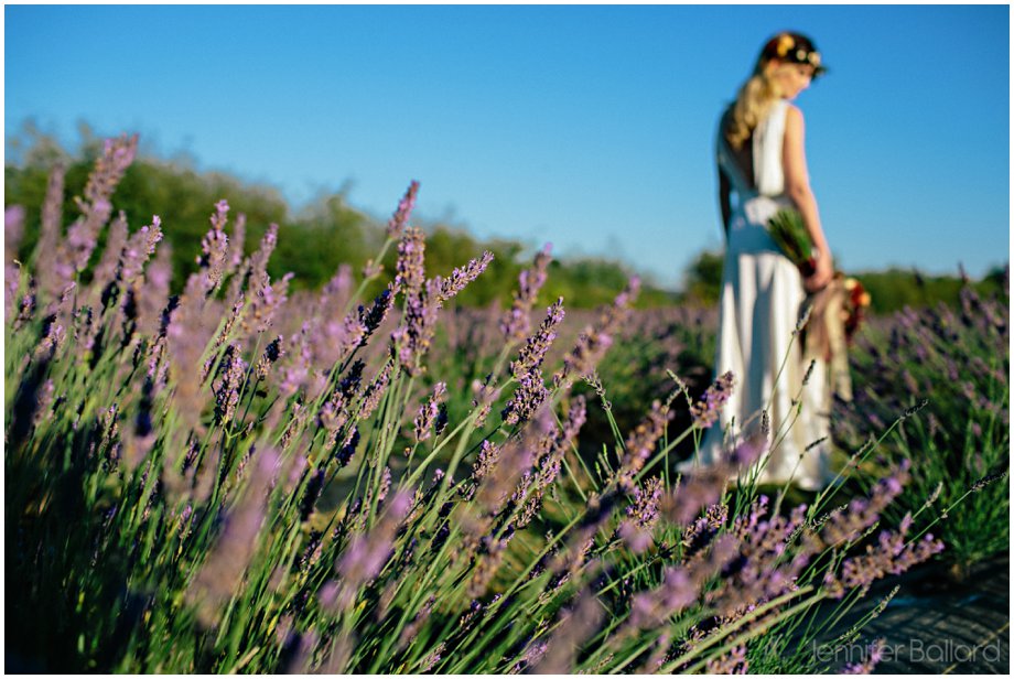 Victoria Lavender Farm Wedding