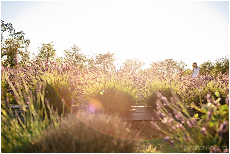 Victoria Lavender Farm Wedding
