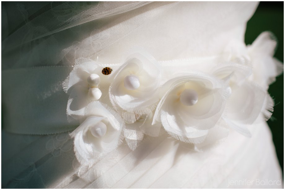 Ladybug Wedding Dress