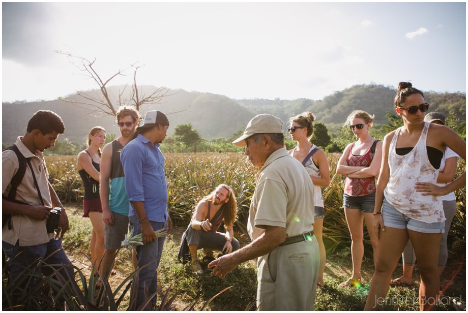Pineapple Farm Nicaragua