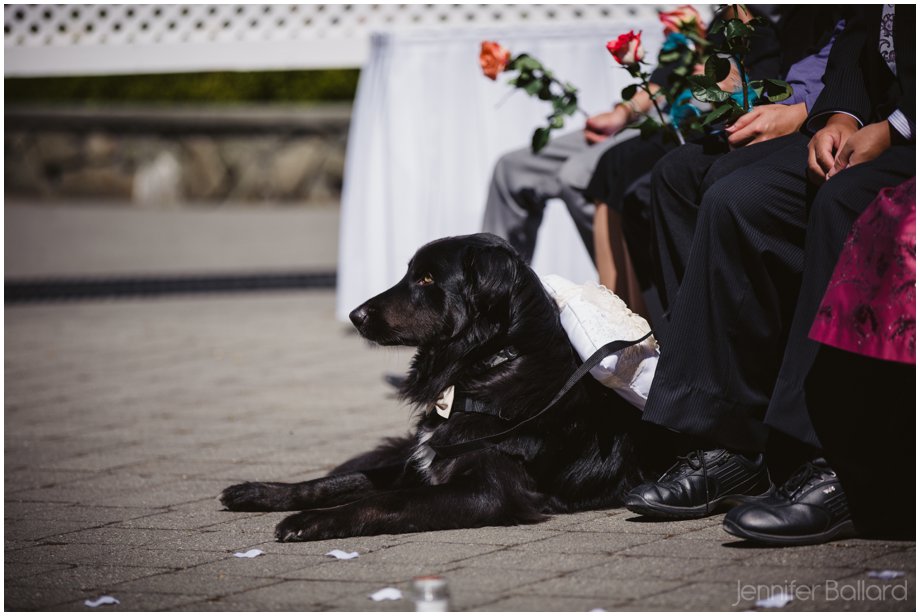 Pender Island Wedding-15