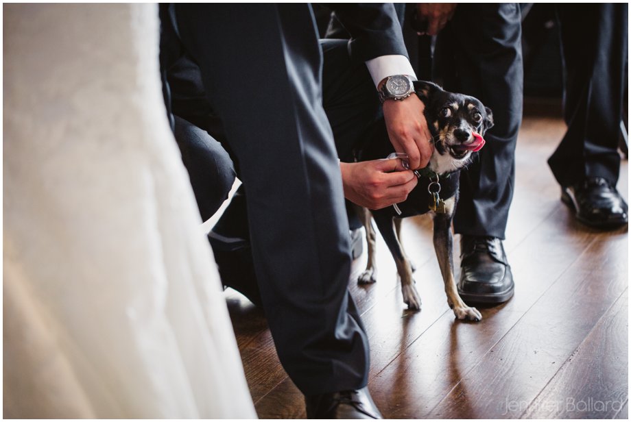 Dog ring bearer